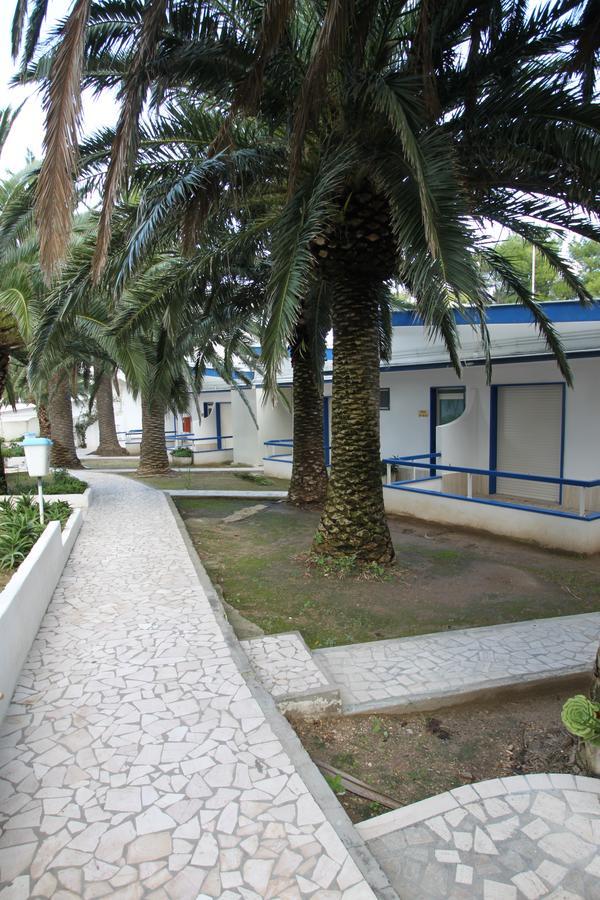סאן דומינו Hotel Gabbiano מראה חיצוני תמונה